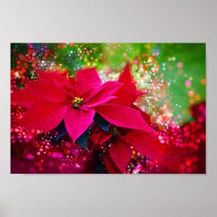 Winter ro, poinsettia/Weihnachtsstern festlich Poster