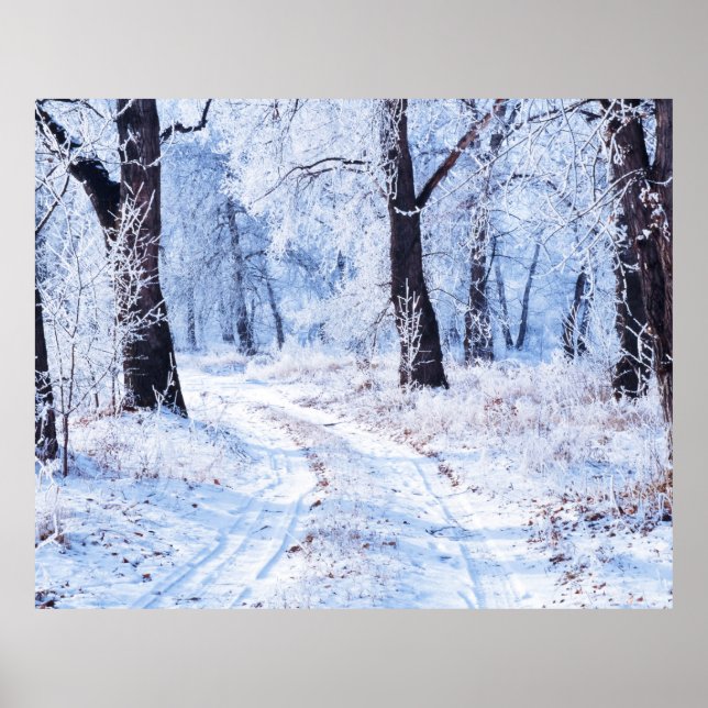 Winter Road Poster (Framsidan)