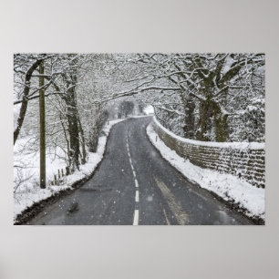 Winter Road-scen Poster