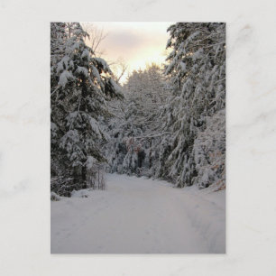 Winter Road Vykort