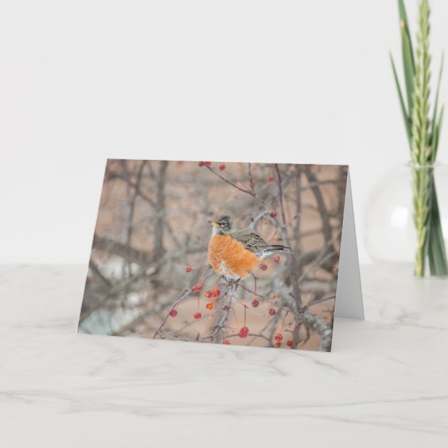 Winter Robin 1 Kort (Framsida)