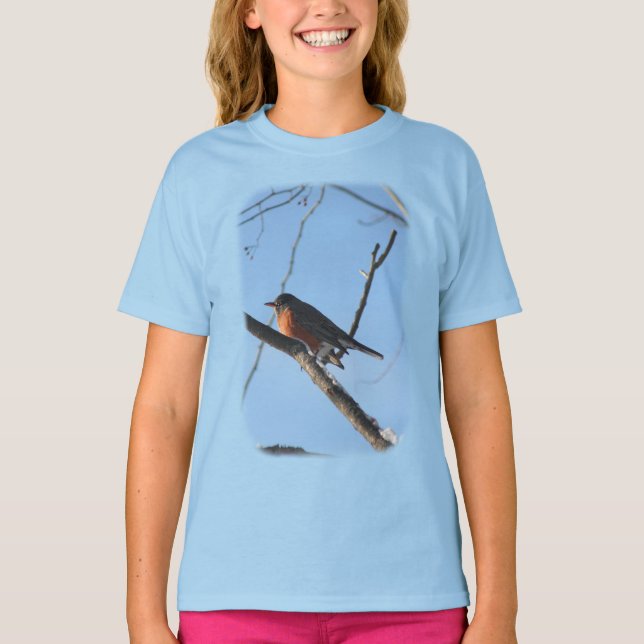 Winter Robin Animal Nature T-shirt (Framsida)