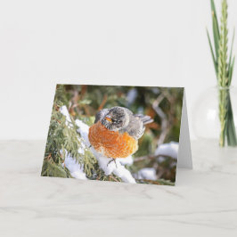 Winter Robin Christmas Card Helgkort