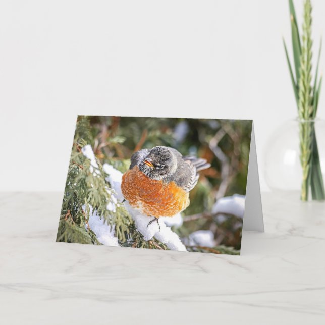 Winter Robin Christmas Card Helgkort (Framsida)
