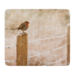 Winter Robin Redbröst