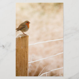 Winter Robin Redbröst Brevpapper