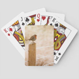 Winter Robin Redbröst Casinokort