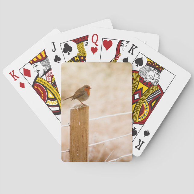 Winter Robin Redbröst Casinokort (Baksidan)