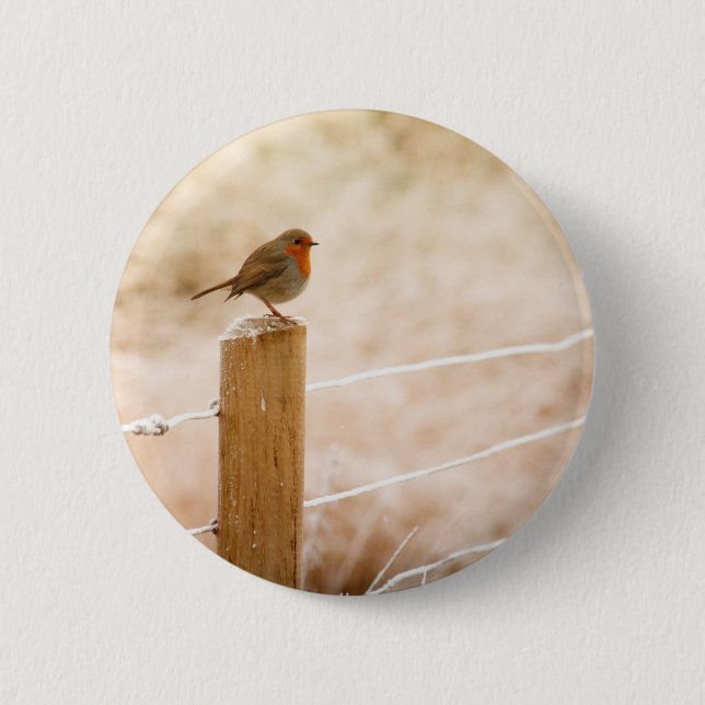Winter Robin Redbröst Knapp (Framsida)