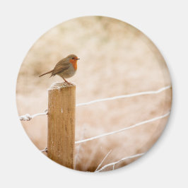 Winter Robin Redbröst Magnet