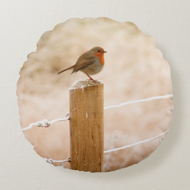 Winter Robin Redbröst Rund Kudde (Framsidan)