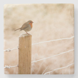 Winter Robin Redbröst Stenunderlägg