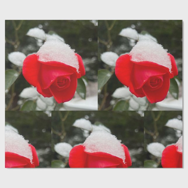 Winter Rose Wrapping Paper  Presentpapper (Platt)