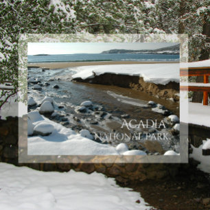 Winter, Sand Beach, Acadia National Park, ME Vykort