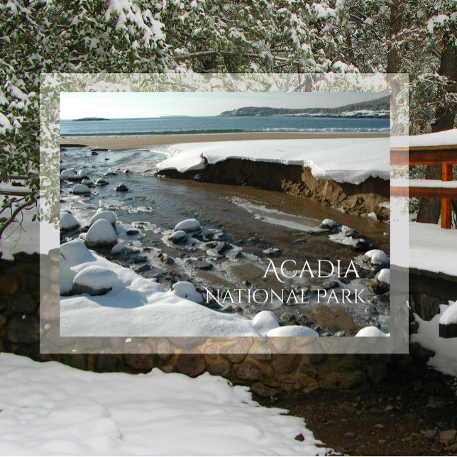 Winter, Sand Beach, Acadia National Park, ME Vykort (Skapare uppladdad)