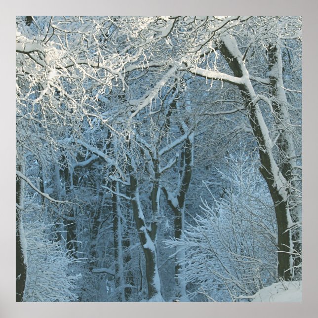 Winter Scene Winter Wonderland Snowy Background Poster (Framsidan)