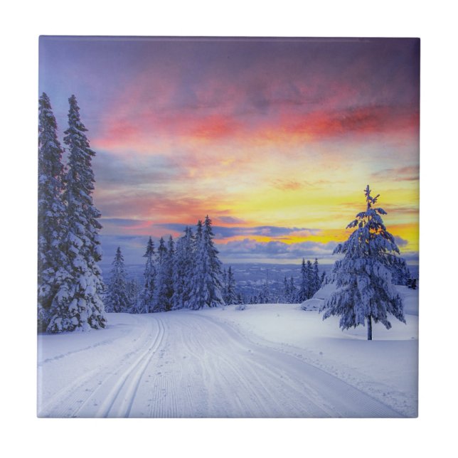 Winter scenery kakelplatta (Framsidan)
