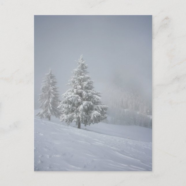Winter Scenery Vykort (Framsida)