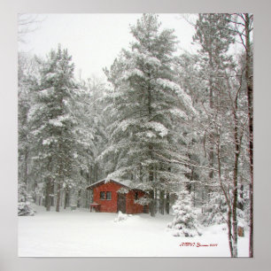 Winter Shed Snö Storm Poster
