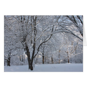 Winter Shroud Hälsningskort
