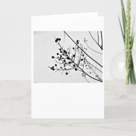 Winter Silhouette, kort