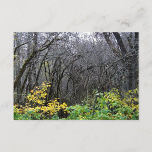 Winter skogen-kort kort