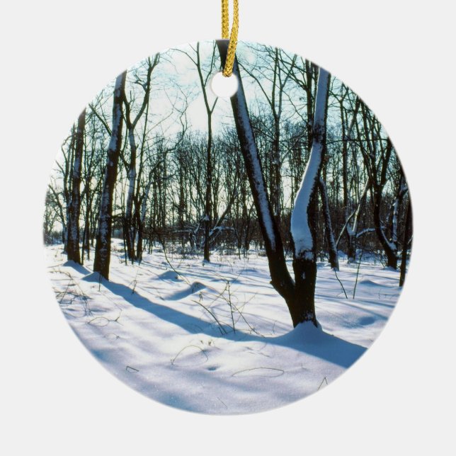 Winter Skogen Round Ornament (Framsidan)