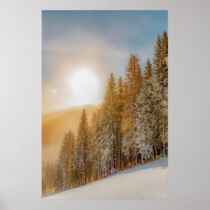 Winter-skogen träd #17 poster