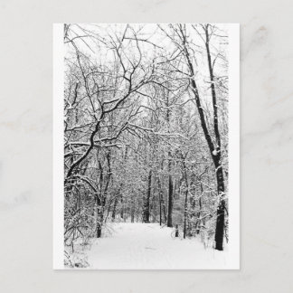 Winter Skogen Vykort