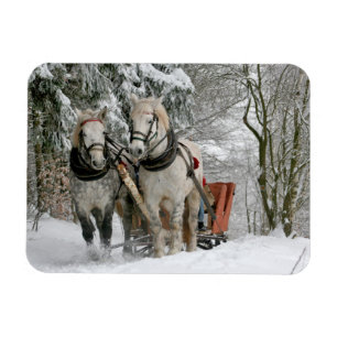 Winter Sleigh Ride Färgbild Magnet
