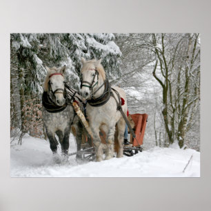 Winter Sleigh Ride Färgbild Poster