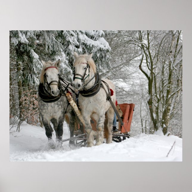 Winter Sleigh Ride Färgbild Poster (Framsidan)