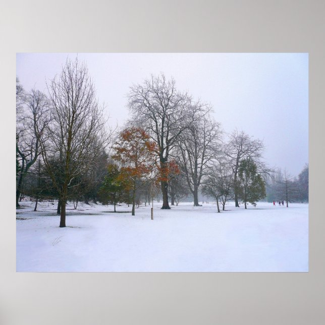 Winter Snö, Bute Park, Cardiff, Wales Poster (Framsidan)