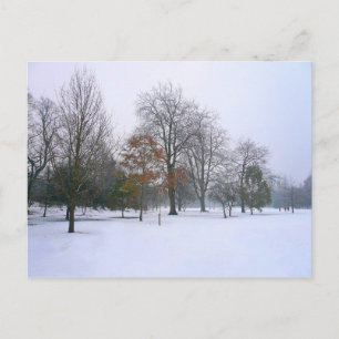 Winter Snö, Bute Park, Cardiff, Wales Vykort