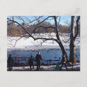 Winter Snö Central Park Sjö New York City NYC Vykort