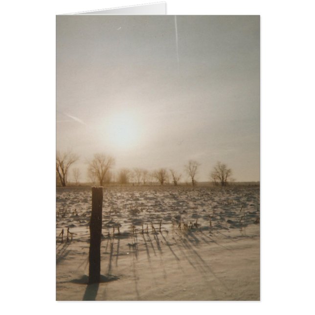 Winter Snö Hälsningskort (Framsidan)