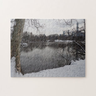Winter Snö i Central Park New York City NYC Pussel