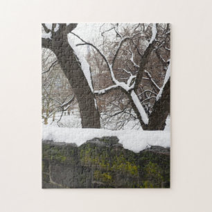 Winter Snö i Central Park New York City NYC Pussel