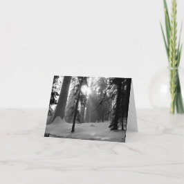 Winter Snö i Kung Canyon nationalpark Anteckningskort