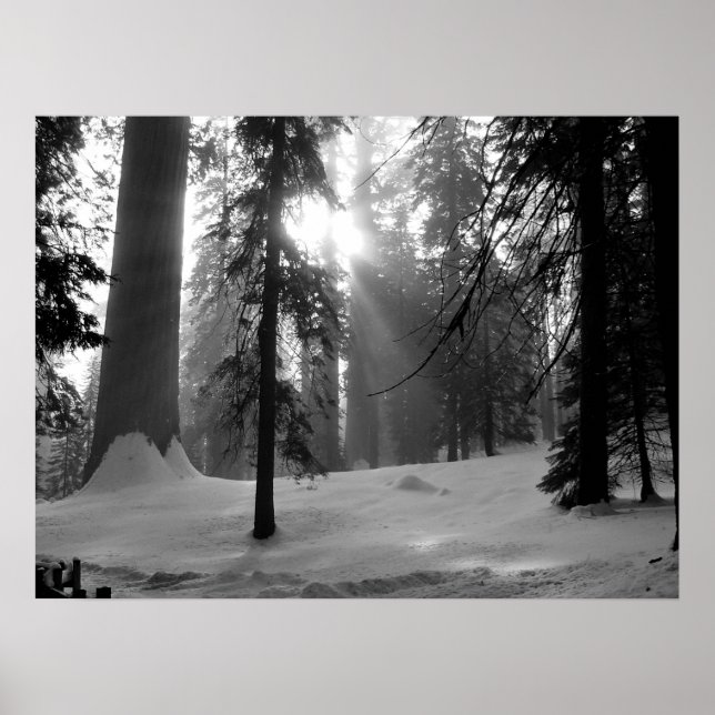 Winter Snö i Kung Canyon nationalpark Poster (Framsidan)