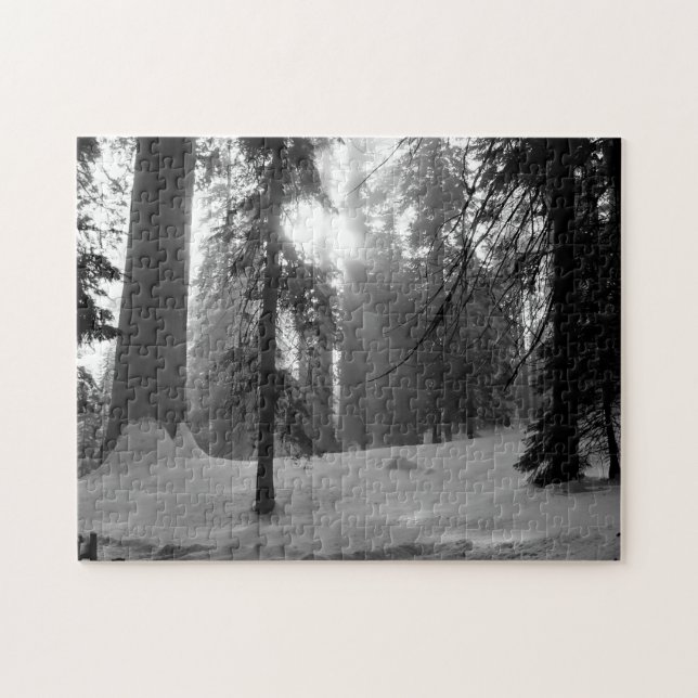 Winter Snö i Kung Canyon nationalpark Pussel (Horisontell)