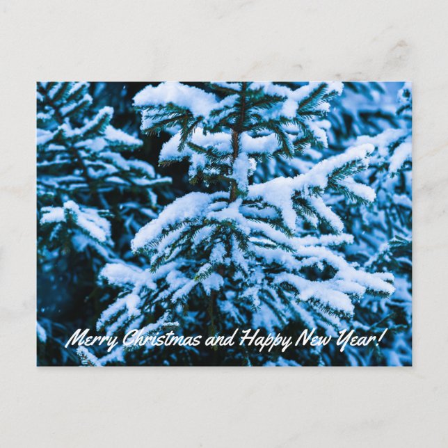 Winter Snö Julgran Helg Vykort (Framsida)