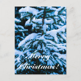 Winter Snö Julgran Helg Vykort