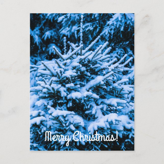 Winter Snö Julgran Helg Vykort (Framsida)