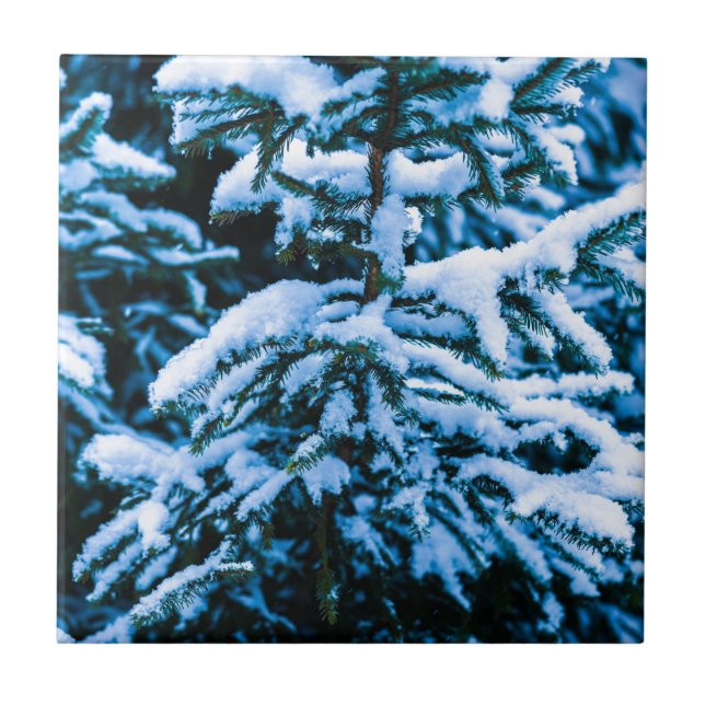 Winter Snö Julgran Kakelplatta (Framsidan)