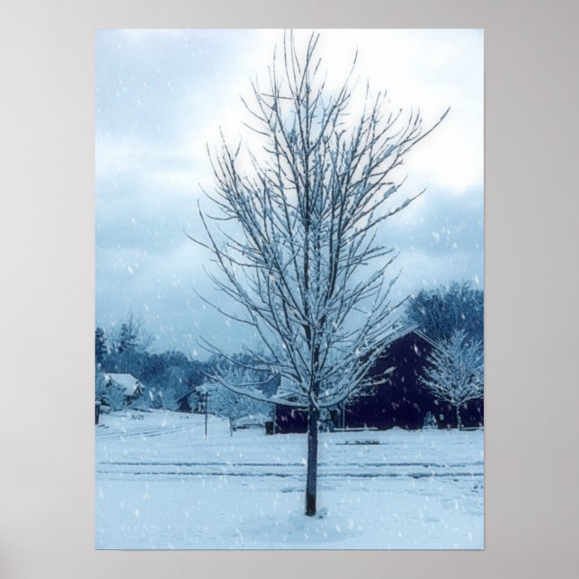 Winter Snö Poster (Framsidan)