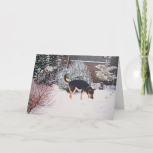 Winter snö scen med söt svart hund vid julklapp helgkort
