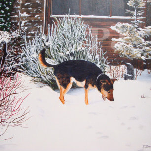 Winter snö scen med söt svart och brunt hund fickplunta
