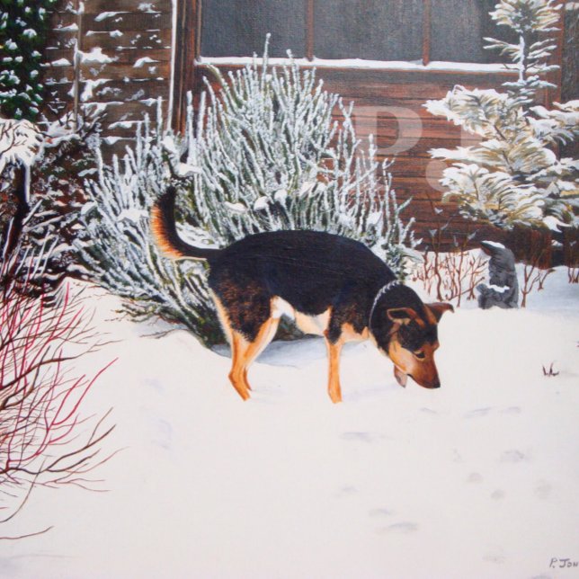 Winter snö scen med söt svart och brunt hund fickplunta (Skapare uppladdad)