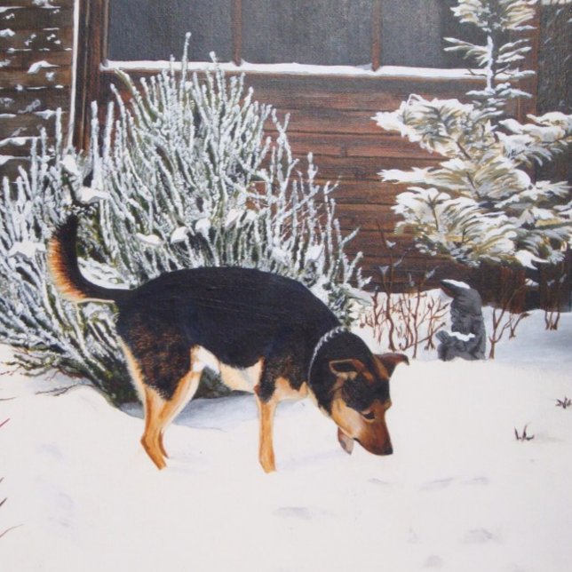 Winter snö scen med söt svart och brunt hund underlägg sandsten (Skapare uppladdad)